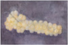 Sarjasta Rypäleitä / From a series of Grapes, 2009, 31,5 x 49 cm 